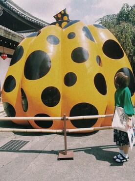 生類憐みの令さんのコーディネート