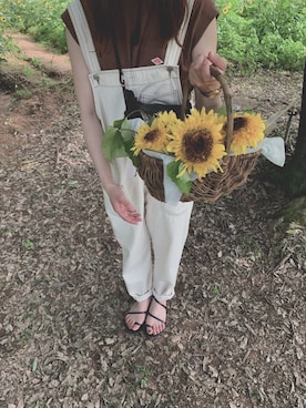 maさんのコーディネート