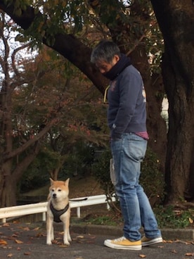 KGさんのコーディネート