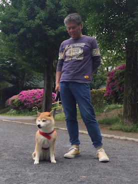 「柴犬」｜KGさん（メンズ・165cm）の春コーディネート