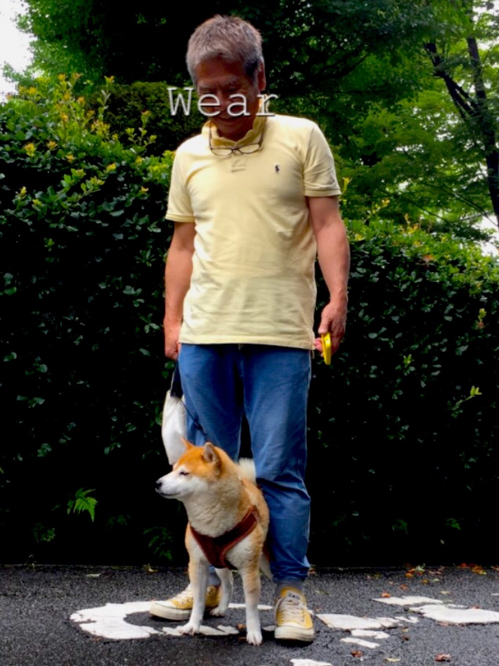 「古着好きな人と繋がりたい、黄色、休日スタイル、スニーカーコーデ、柴犬、散歩」｜「POLOのアイテム（ポロシャツ、イエロー系）」を使った、KGさん（メンズ・165cm）の夏コーディネートの1枚目の写真