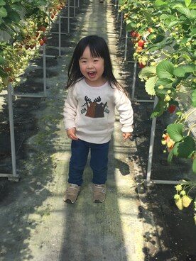 yococoさんのコーディネート