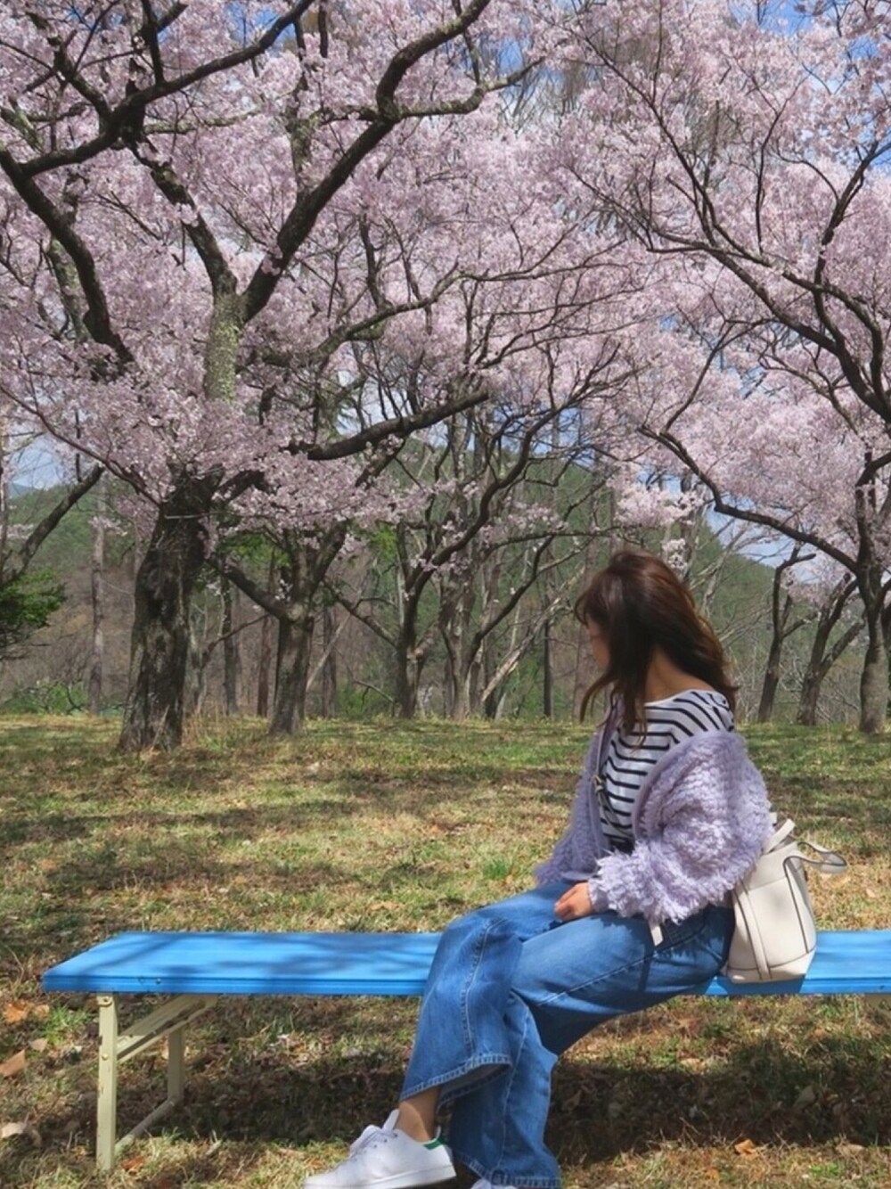 「春コーデ、お花見、スタンスミス、ワイドパンツ、カーディガン、スニーカー、ボーダー」｜「AMERICAN HOLICの袖折り返しゆるカットプルオーバー（Tシャツ/カットソー、その他）」を使った、Sapi さん（レディース・145cm）の春コーディネートの1枚目の写真