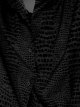 夜魔本さんのコーディネート