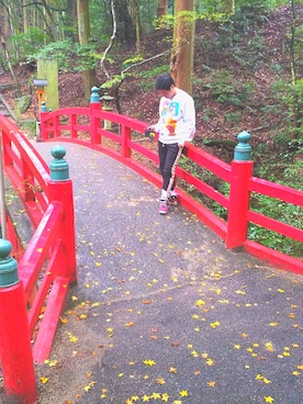 こうきさんのコーディネート