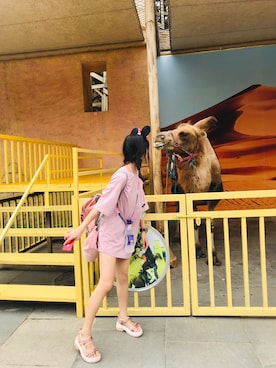 Cynthia さんのコーディネート