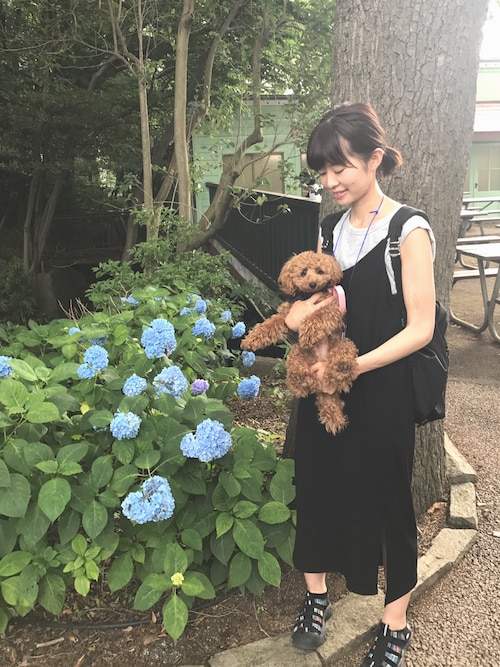 NEWPORT H2 / ニューポート エイチツー / レディース サンダル