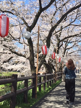 ⒶⓎⓊⓂ︎Ⓘさん(レディース・154cm)の春コーディネート