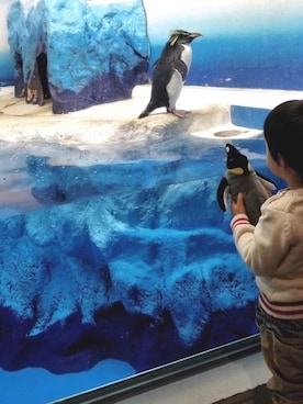 「水族館」｜「アイテム（その他）」を使った、＊SK.HRR＊さん（キッズ・90cm）の春コーディネート