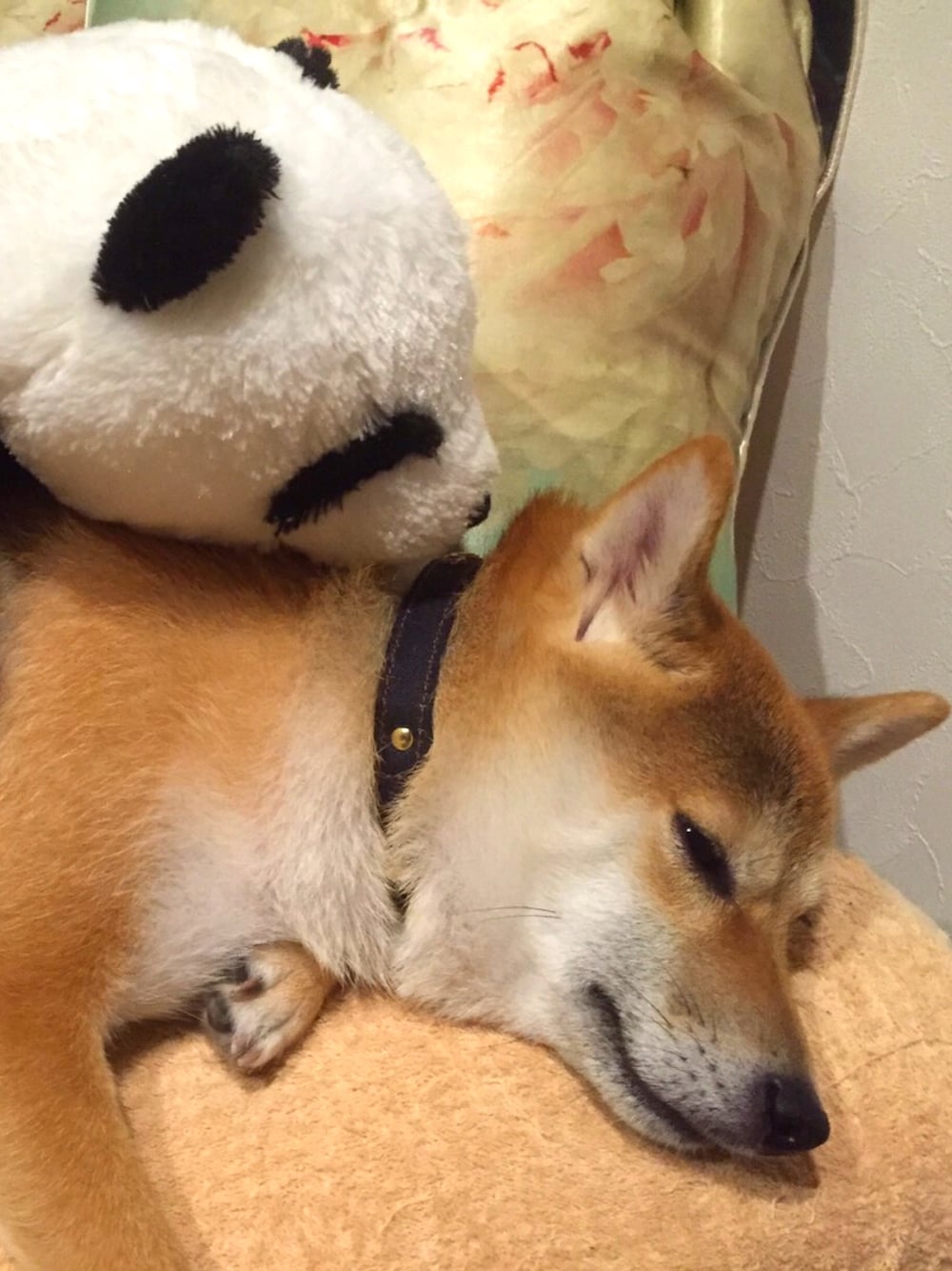 「柴犬」｜「柴犬のアイテム（その他、ブラウン系）」を使った、yuki@japanさん（レディース・154cm）の冬コーディネートの1枚目の写真