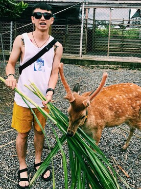 Dexterさんのコーディネート