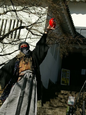 お着物大好きボブ山さんのコーディネート