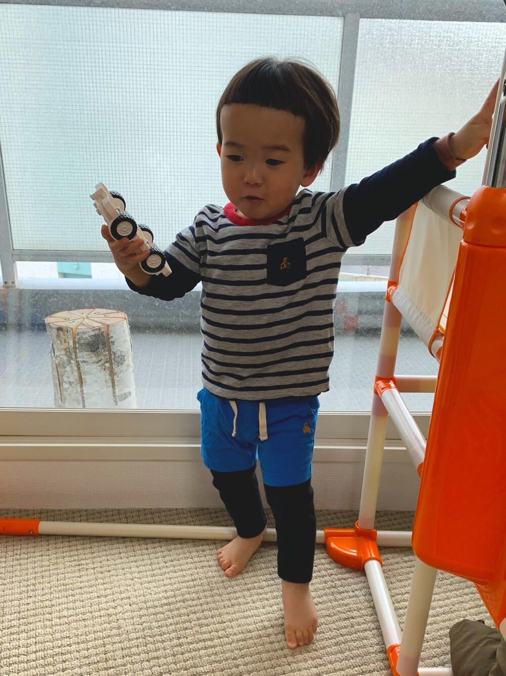 「ハーフパンツ、kafuka、fridgesetagaya、前髪ぱっつん、キッズファッション、おうちファッション、男の子、黒スキニー、重ね着、1歳6ヶ月」｜「babyGAPのアイテム（Tシャツ/カットソー、グレー系）」を使った、くまけんさん（キッズ・80cm）の春コーディネートの1枚目の写真