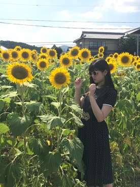 アラレさんのコーディネート