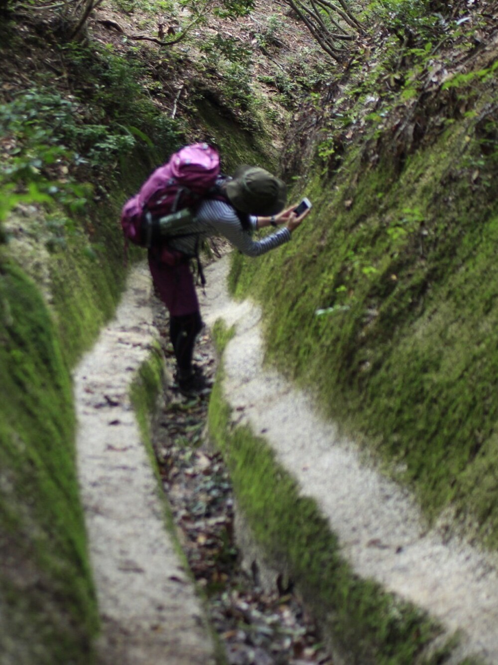 「山の記録、山登りスタイル、比良山、きのこ狩り」｜「THE NORTH FACEのザ・ノース・フェイス　トレッキングハット　/　サンシールドハット（ハット、グリーン系）」を使った、chopさん（レディース・156cm）の秋コーディネートの1枚目の写真