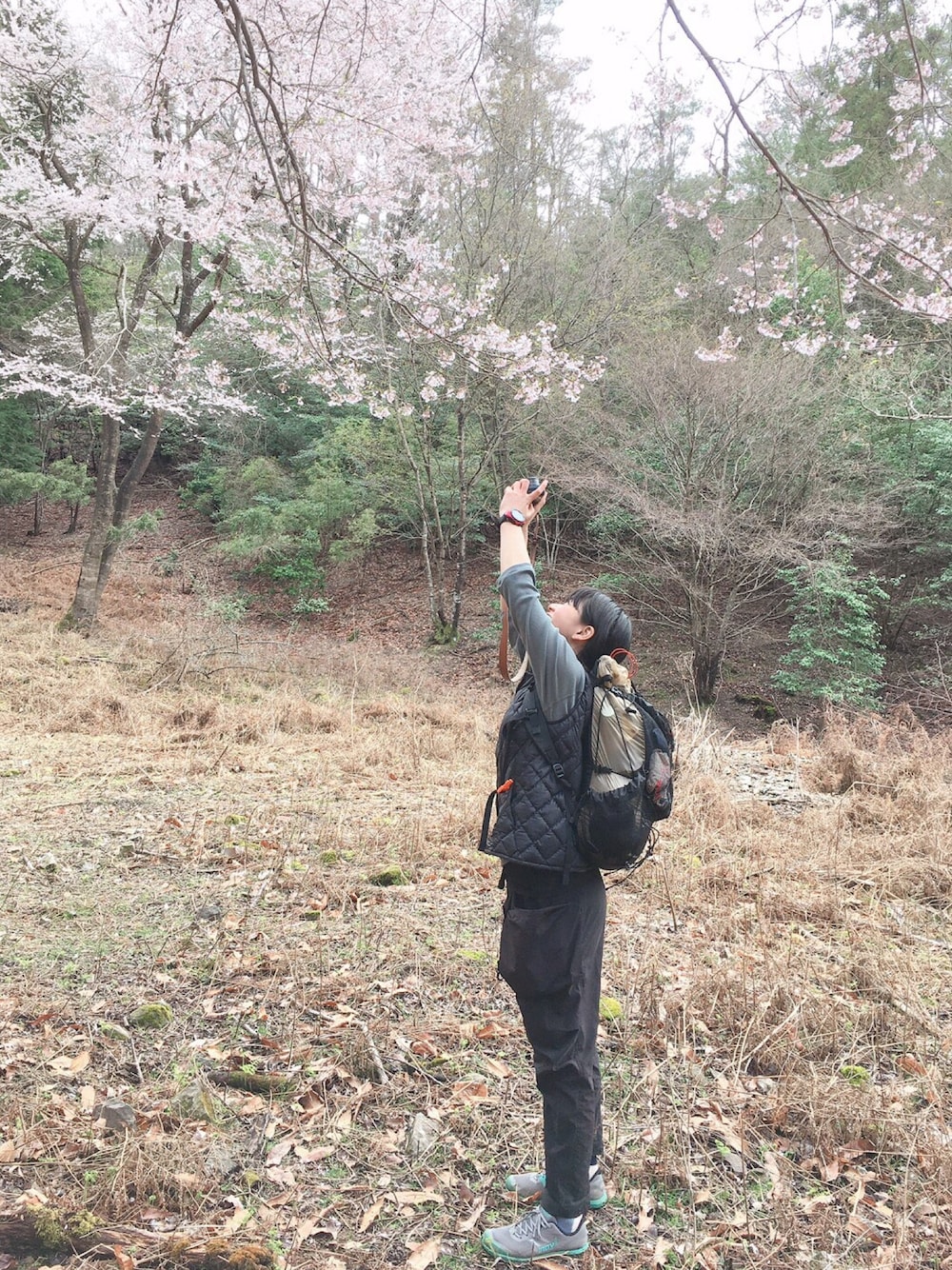 「山の記録、山登りスタイル、妙見山、ミツマタ」｜「アトリエブルーボトルのアイテム（Tシャツ/カットソー、グリーン系）」を使った、chopさん（レディース・156cm）の秋コーディネートの1枚目の写真