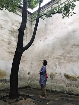 Horeaさんのコーディネート