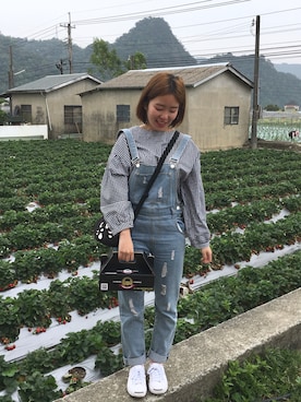 池さんのコーディネート
