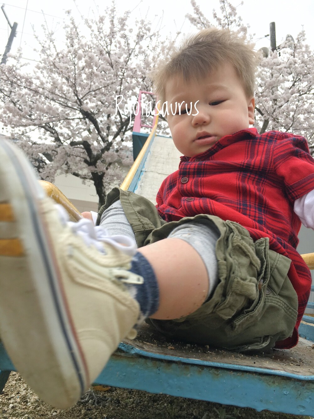 その他のシャツ/ブラウス、ホワイト系のその他トップス、グリーン系のカーゴパンツを着用したキッズの春コーディネートの1枚目の写真