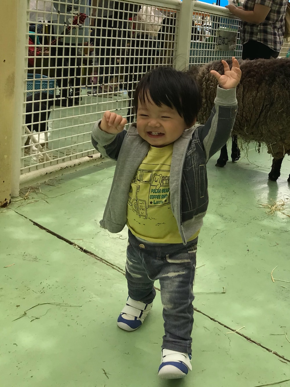 「動物園、キッズコーデ、男の子、1歳、カジュアル、ベビーコーデ」｜「西松屋のアイテム（Tシャツ/カットソー、イエロー系）」を使った、cocotaroさん（キッズ・70cm）の秋コーディネートの1枚目の写真