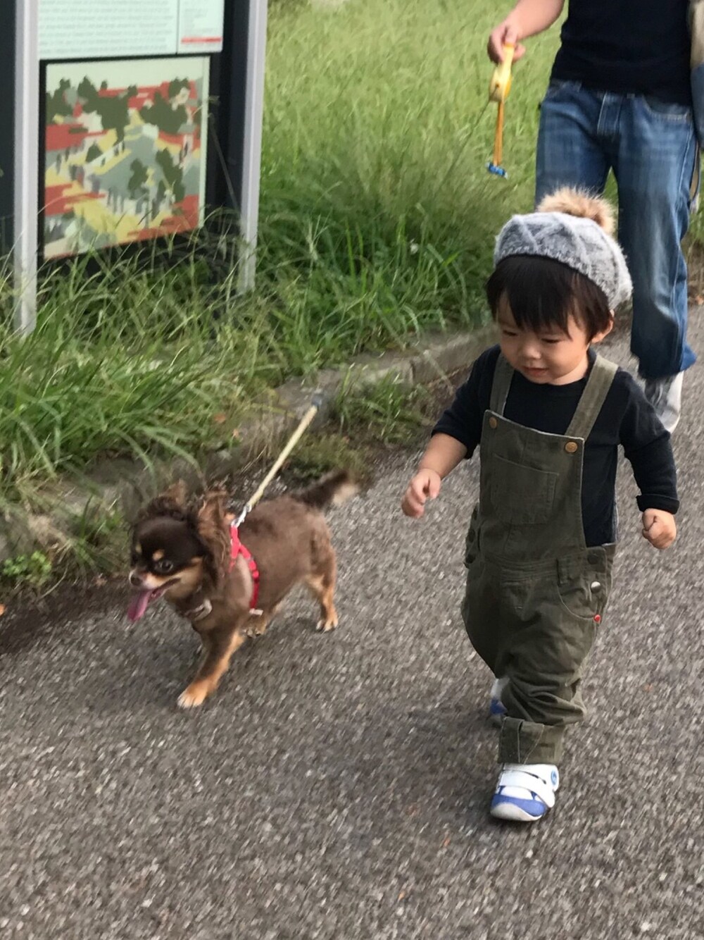「キッズファッション、むすこーで、オーバーオール、秋服準備はじめました、秋のコーデ、秋コーデ、1歳、ベレー帽、オシャレパッソ、PASSO」｜「DAISOのアイテム（ハンチング/ベレー帽、グレー系）」を使った、cocotaroさん（キッズ・80cm）の秋コーディネートの1枚目の写真