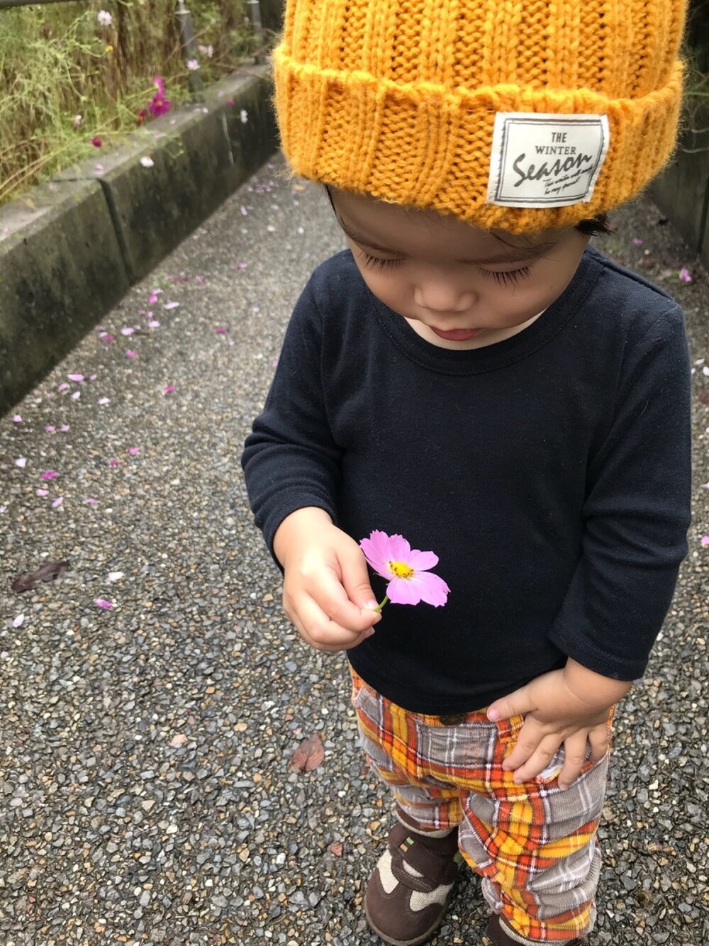 「キッズファッション、チェッカーずまつり2018秋、チェックパンツ、ダイソー、DAISO、ニット帽、お散歩♪、むすこーで、1歳、オシャレパッソ」｜「西松屋のアイテム（Tシャツ/カットソー、ブラック系）」を使った、cocotaroさん（キッズ・80cm）の秋コーディネートの1枚目の写真