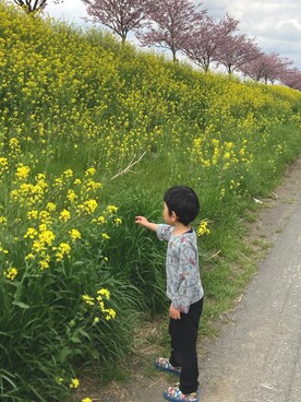 みーさんのコーディネート