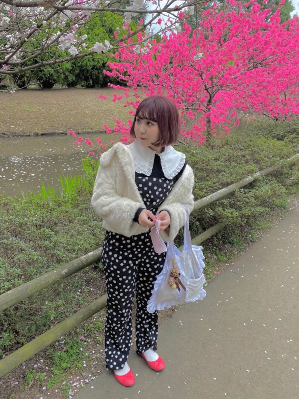 「休日スタイル、おしゃれさんと繋がりたい、プチプラコーデ、お花見、大人ガーリー、フレンチガーリー、低身長、ガーリー、レトロ、モノトーン」｜「WEGOのアイテム（付け襟、ホワイト系）」を使った、manaさん（レディース・152cm）の春コーディネートの1枚目の写真