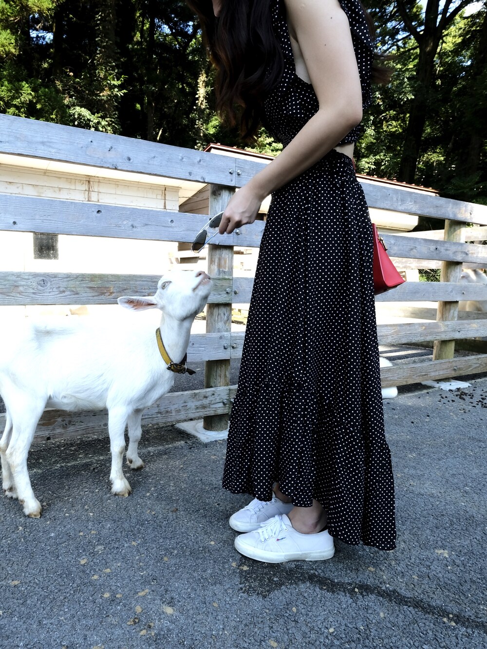 ブラック系のワンピース/ドレス、レッド系のショルダーバッグを着用したレディースの秋コーディネートの1枚目の写真