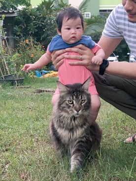 reyさんのコーディネート