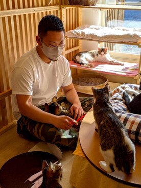 猫カフェ の人気ファッションコーディネート Wear 猫カフェ の人気ファッションコーディネート Wear