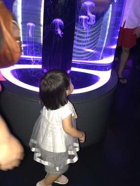 ちいたろーさんのコーディネート