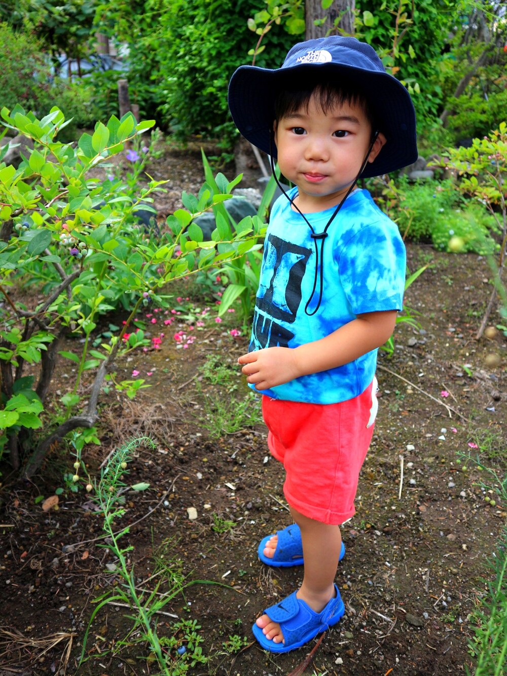 「おとこのこ、男の子コーデ、夏休み、2歳11ヶ月、キッズコーデ」｜「Hurley のアイテム（Tシャツ/カットソー、ブルー系）」を使った、asahi_sunさん（キッズ・90cm）の夏コーディネートの1枚目の写真