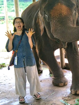 文さんのコーディネート