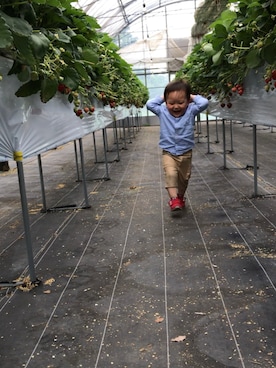 すずりくさんのコーディネート