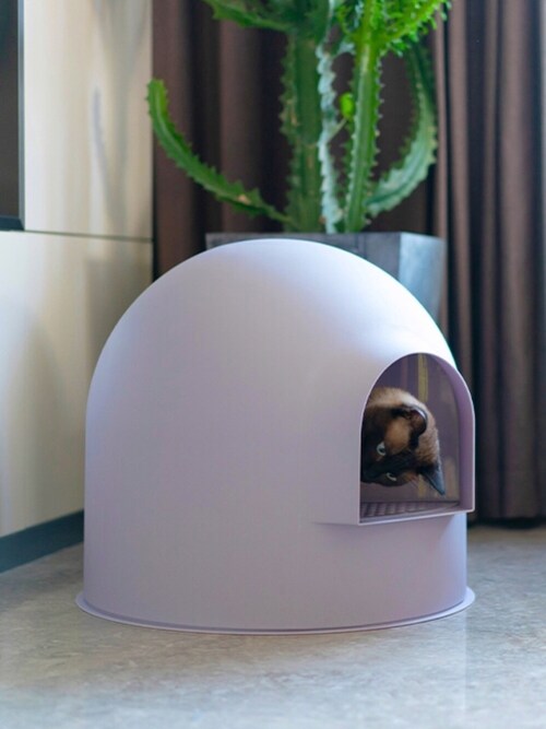 Pidan Pidan Pidanのペットグッズを使ったコーディネート Wear