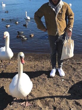 Yang さんのコーディネート