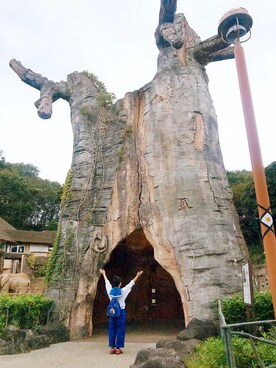 ミーコさんのコーディネート