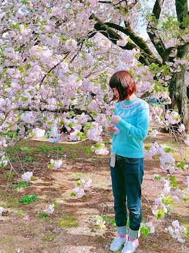 ミーコさんのコーディネート