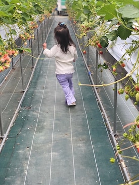 koiさん（キッズ・80cm）の春コーディネート