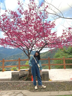 33さんのコーディネート