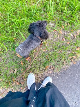 momoerumoさんのコーディネート