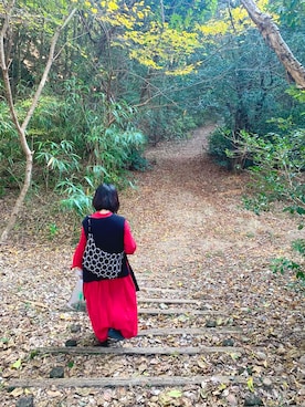 momoerumoさんのコーディネート