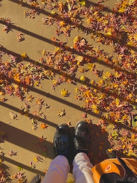 momoerumoさんのコーディネート