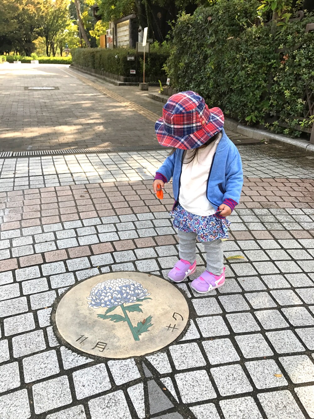 「１歳８ヶ月、公園」｜「ASICSのキッズ asics アシックス 13-15アイダホBABY KT-ES 3501 LVD/WHT（スニーカー、パープル系）」を使った、yuさん（キッズ・80cm）の秋コーディネートの1枚目の写真
