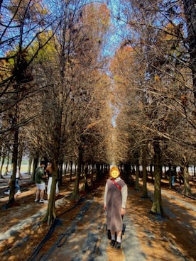 Nikoooさんのコーディネート