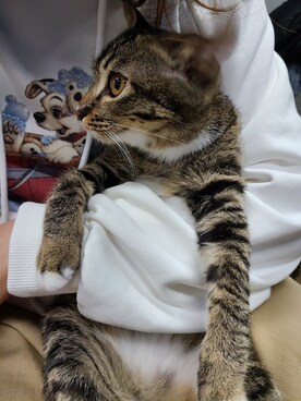 你的瓜宝さんのコーディネート