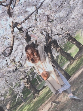 miiiさんのコーディネート