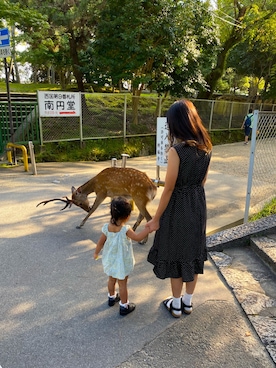 中居ちゃんさんのコーディネート