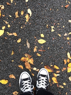 renkaさんのコーディネート